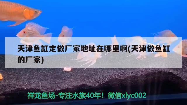 天津鱼缸定做厂家地址在哪里啊(天津做鱼缸的厂家) 广州观赏鱼鱼苗批发市场