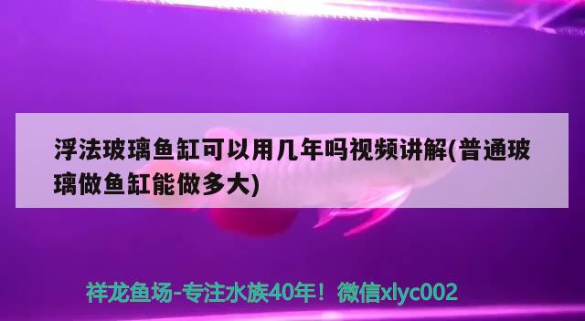 浮法玻璃鱼缸可以用几年吗视频讲解(普通玻璃做鱼缸能做多大) 南美异形观赏鱼