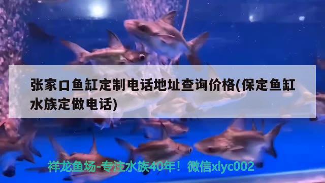 张家口鱼缸定制电话地址查询价格(保定鱼缸水族定做电话)