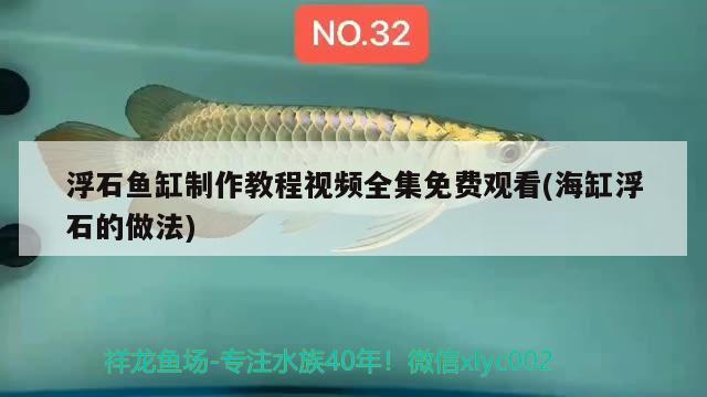 浮石鱼缸制作教程视频全集免费观看(海缸浮石的做法)