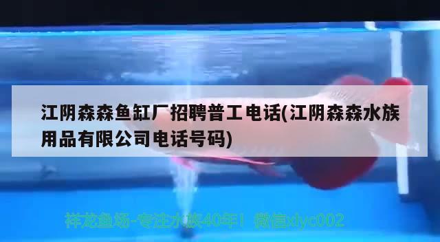 江阴森森鱼缸厂招聘普工电话(江阴森森水族用品有限公司电话号码) 水族用品