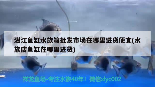 湛江鱼缸水族箱批发市场在哪里进货便宜(水族店鱼缸在哪里进货)