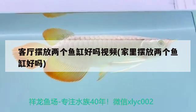 客厅摆放两个鱼缸好吗视频(家里摆放两个鱼缸好吗) 祥龙水族护理水