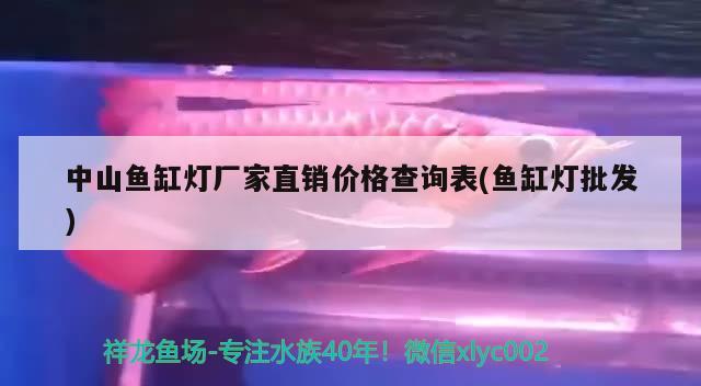 中山鱼缸灯厂家直销价格查询表(鱼缸灯批发) 南美异型鱼