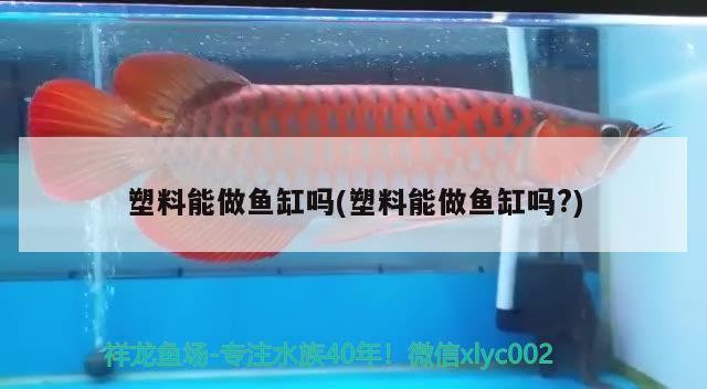 塑料能做鱼缸吗(塑料能做鱼缸吗?) 观赏鱼水族批发市场