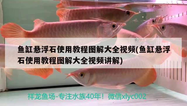 鱼缸悬浮石使用教程图解大全视频(鱼缸悬浮石使用教程图解大全视频讲解)