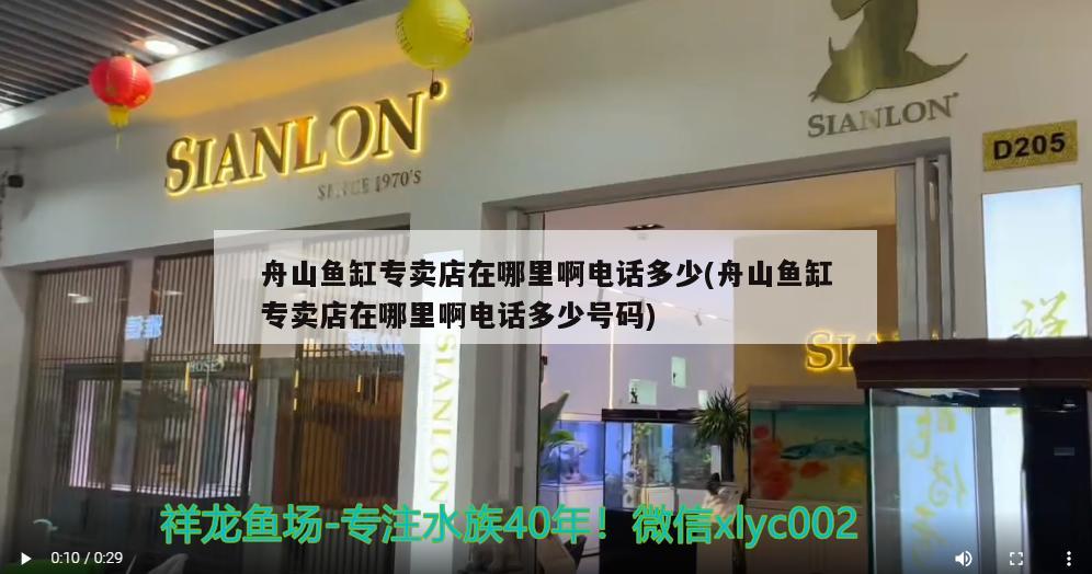 舟山鱼缸专卖店在哪里啊电话多少(舟山鱼缸专卖店在哪里啊电话多少号码)