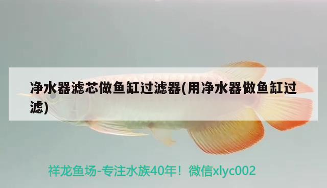 净水器滤芯做鱼缸过滤器(用净水器做鱼缸过滤) 水族灯（鱼缸灯）