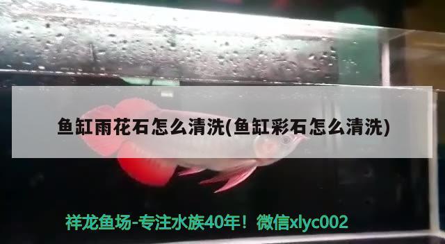 鱼缸雨花石怎么清洗(鱼缸彩石怎么清洗) 撒旦鸭嘴鱼