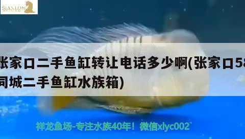 张家口二手鱼缸转让电话多少啊(张家口58同城二手鱼缸水族箱) 鱼缸/水族箱