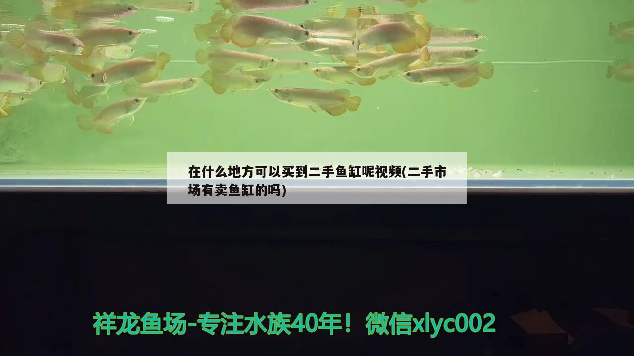 在什么地方可以买到二手鱼缸呢视频(二手市场有卖鱼缸的吗) 观赏鱼进出口