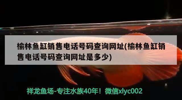 榆林鱼缸销售电话号码查询网址(榆林鱼缸销售电话号码查询网址是多少)