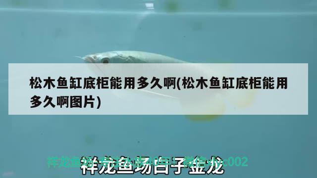 松木鱼缸底柜能用多久啊(松木鱼缸底柜能用多久啊图片)