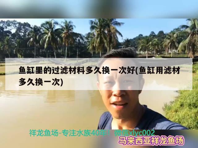 鱼缸里的过滤材料多久换一次好(鱼缸用滤材多久换一次) 图腾金龙鱼