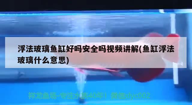 浮法玻璃鱼缸好吗安全吗视频讲解(鱼缸浮法玻璃什么意思) 广州水族器材滤材批发市场