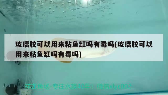 玻璃胶可以用来粘鱼缸吗有毒吗(玻璃胶可以用来粘鱼缸吗有毒吗) 杀菌消毒设备