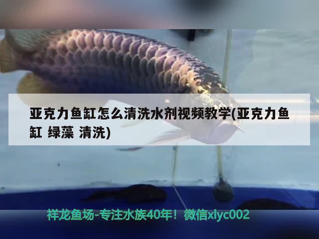 亚克力鱼缸怎么清洗水剂视频教学(亚克力鱼缸绿藻清洗) 充氧泵 第1张