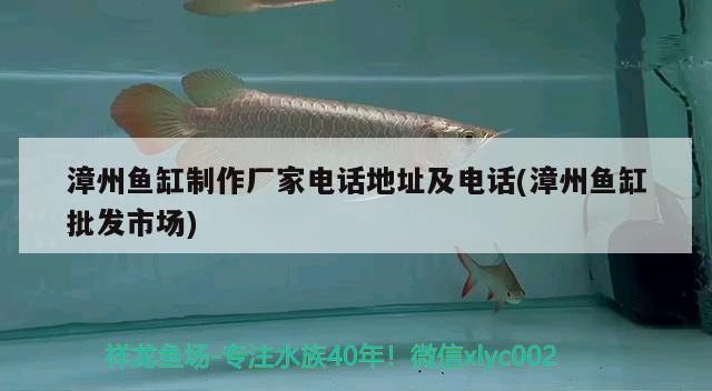 漳州鱼缸制作厂家电话地址及电话(漳州鱼缸批发市场) 祥龙鱼场