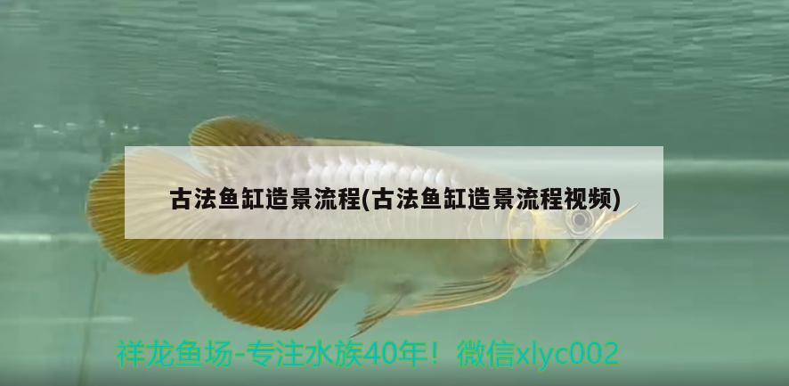 古法鱼缸造景流程(古法鱼缸造景流程视频) 水族灯（鱼缸灯）