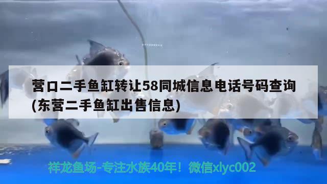 营口二手鱼缸转让58同城信息电话号码查询(东营二手鱼缸出售信息)