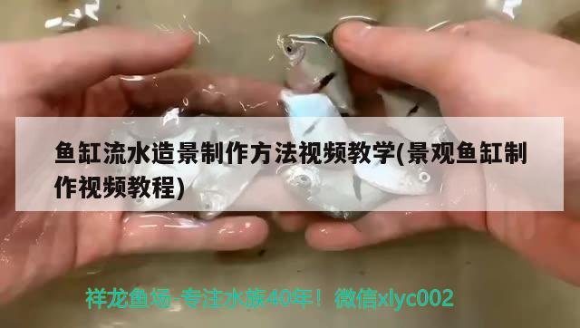 鱼缸流水造景制作方法视频教学(景观鱼缸制作视频教程) 三间鼠鱼苗