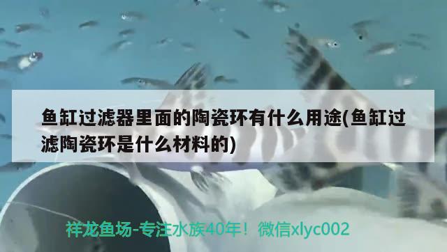 鱼缸过滤器里面的陶瓷环有什么用途(鱼缸过滤陶瓷环是什么材料的)