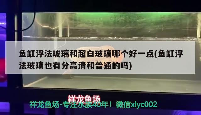 鱼缸浮法玻璃和超白玻璃哪个好一点(鱼缸浮法玻璃也有分高清和普通的吗)