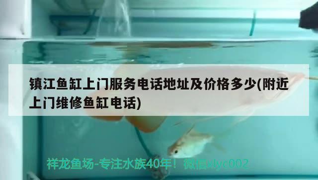 镇江鱼缸上门服务电话地址及价格多少(附近上门维修鱼缸电话) 月光鸭嘴鱼苗