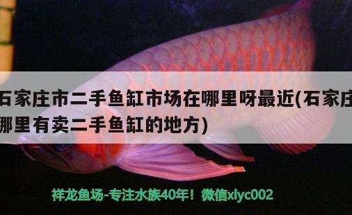 石家庄市二手鱼缸市场在哪里呀最近(石家庄哪里有卖二手鱼缸的地方) 铁甲武士