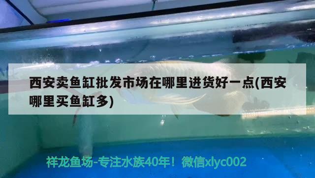 西安卖鱼缸批发市场在哪里进货好一点(西安哪里买鱼缸多) 观赏鱼百科