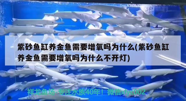 紫砂鱼缸养金鱼需要增氧吗为什么(紫砂鱼缸养金鱼需要增氧吗为什么不开灯)