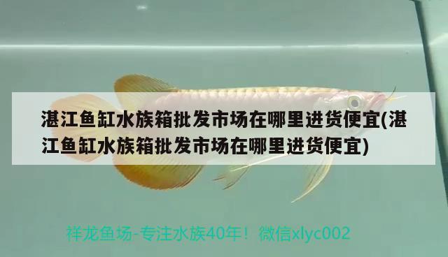 湛江鱼缸水族箱批发市场在哪里进货便宜(湛江鱼缸水族箱批发市场在哪里进货便宜) 鱼缸/水族箱