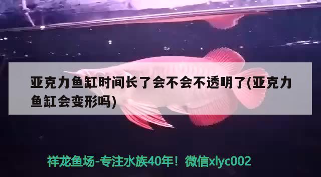 亚克力鱼缸时间长了会不会不透明了(亚克力鱼缸会变形吗) 丹顶锦鲤鱼