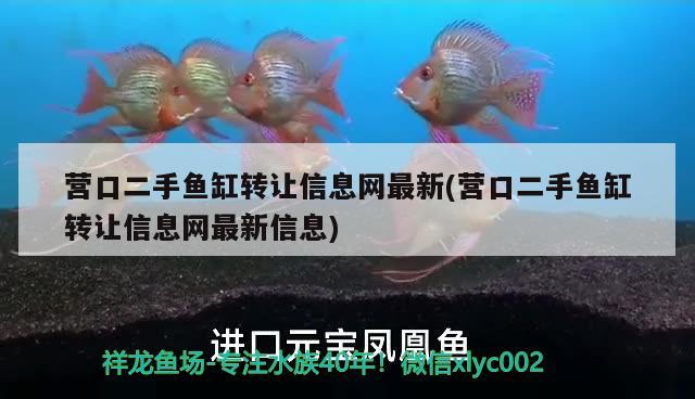 营口二手鱼缸转让信息网最新(营口二手鱼缸转让信息网最新信息) 水族品牌