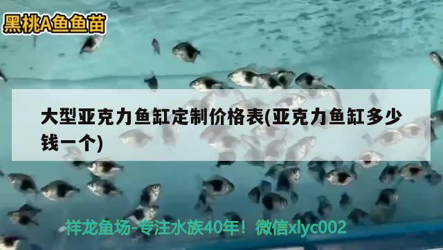 大型亚克力鱼缸定制价格表(亚克力鱼缸多少钱一个) 熊猫异形鱼L46