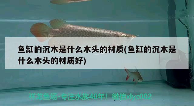 鱼缸的沉木是什么木头的材质(鱼缸的沉木是什么木头的材质好) 观赏鱼市场（混养鱼） 第1张