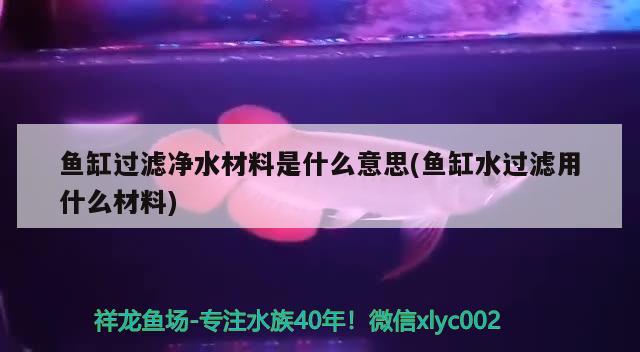 鱼缸过滤净水材料是什么意思(鱼缸水过滤用什么材料) 黄金招财猫鱼