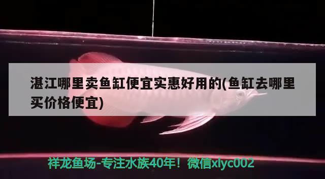 湛江哪里卖鱼缸便宜实惠好用的(鱼缸去哪里买价格便宜) 细线银版鱼