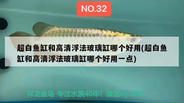 超白鱼缸和高清浮法玻璃缸哪个好用(超白鱼缸和高清浮法玻璃缸哪个好用一点)