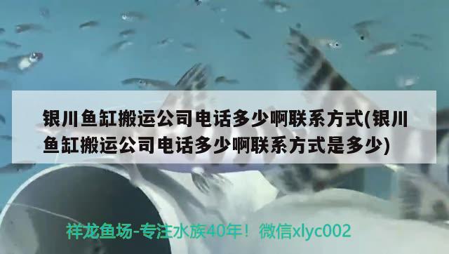 银川鱼缸搬运公司电话多少啊联系方式(银川鱼缸搬运公司电话多少啊联系方式是多少) 白写锦鲤鱼