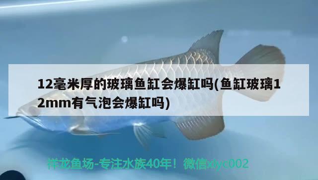 12毫米厚的玻璃鱼缸会爆缸吗(鱼缸玻璃12mm有气泡会爆缸吗)