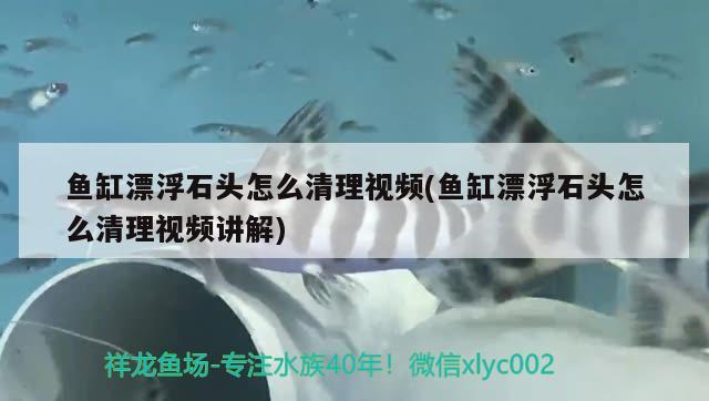 鱼缸漂浮石头怎么清理视频(鱼缸漂浮石头怎么清理视频讲解)