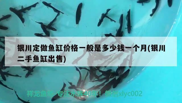 银川定做鱼缸价格一般是多少钱一个月(银川二手鱼缸出售) 养鱼知识