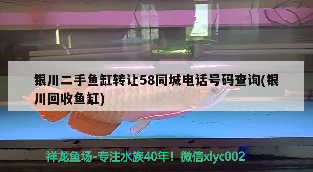 银川二手鱼缸转让58同城电话号码查询(银川回收鱼缸) 战车红龙鱼