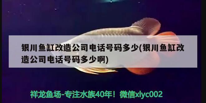 银川鱼缸改造公司电话号码多少(银川鱼缸改造公司电话号码多少啊)