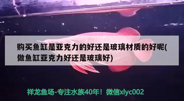 购买鱼缸是亚克力的好还是玻璃材质的好呢(做鱼缸亚克力好还是玻璃好)