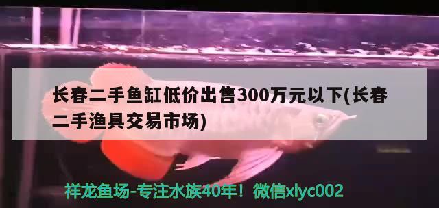 长春二手鱼缸低价出售300万元以下(长春二手渔具交易市场)