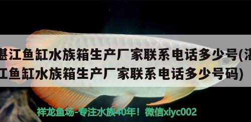 湛江鱼缸水族箱生产厂家联系电话多少号(湛江鱼缸水族箱生产厂家联系电话多少号码) 鱼缸/水族箱