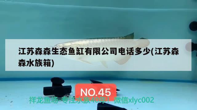 江苏森森生态鱼缸有限公司电话多少(江苏森森水族箱) 鱼缸/水族箱