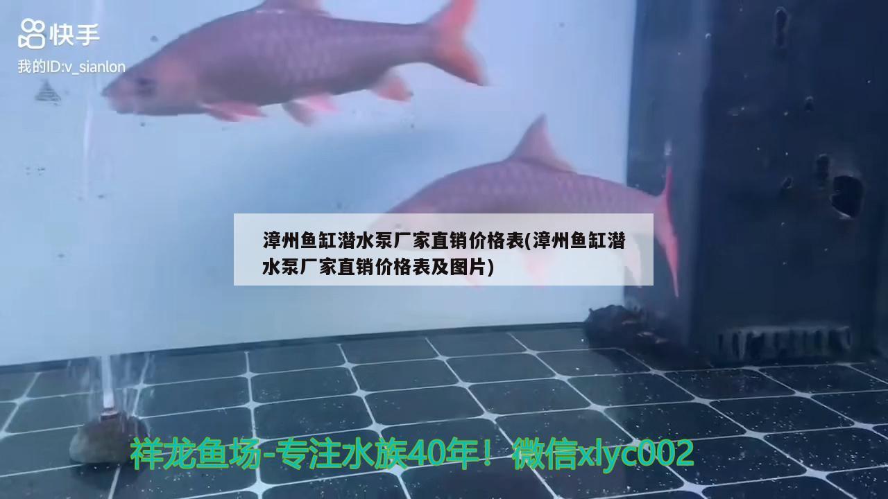 漳州鱼缸潜水泵厂家直销价格表(漳州鱼缸潜水泵厂家直销价格表及图片) 双线侧鱼